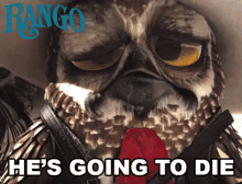 Hes Going To Die Rango GIF - Hes Going To Die Rango Gonna Die GIFs