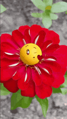 Funny Flower GIFs | Tenor