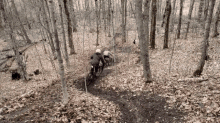 Shred Bike GIF - Shred Bike Fail GIFs