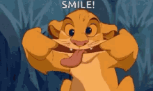 smile funny face simba whatever