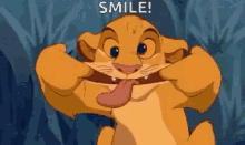 simba from the lion king is smiling with his tongue out .