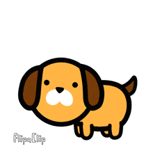 Dog Jump GIF - Dog Jump Puppy GIFs