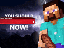 a minecraft character is holding a wooden stick and says you should self-destruct now