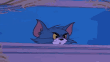 Tom And Jerry Peep GIF - Tom And Jerry Peep Cat GIFs