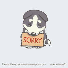 Dog Sorry GIF