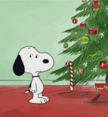 Xmas Christmas GIF - Xmas Christmas Snoopy GIFs