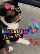a cat with hearts and the words gay cat dad loves me