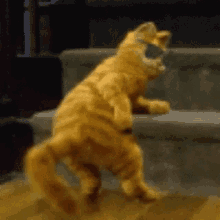 Yes Garfield GIF - Yes Garfield Dancing GIFs