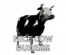 Polish Cow Cow GIF - Polish Cow Cow Dancing GIFs