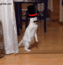 Cat Dancing GIF - Cat Dancing Top Hat GIFs