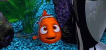 Nemo GIF - Nemo GIFs
