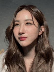 a close up of a woman 's face with long brown hair