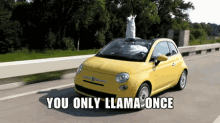 Yolo GIF - Yolo You Only Llama Once Drive GIFs