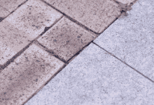 a person 's foot is standing next to a small black object on the sidewalk