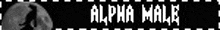 Alpha Male Blinkie GIF