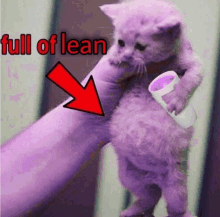 Lean Cat GIF - Lean Cat GIFs