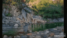 a painting of a river with the words made in animotica below it