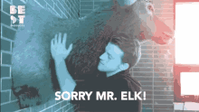 Sorry Mr Elk Stuffed Elk GIF - Sorry Mr Elk Elk Stuffed Elk GIFs