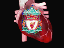 Liverpool Champions GIF - Liverpool Champions Heart GIFs