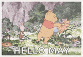 winnie the pooh and piglet are standing in a field of flowers and saying hello may .