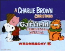 Charlie Brown Christmas Garfield GIF - Charlie Brown Christmas Garfield Christmas Special GIFs