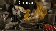 Conrad GIF - Conrad GIFs