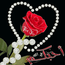 heart love rose for you