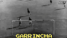 Garrincha Brazil GIF - Garrincha Brazil Brazilian GIFs
