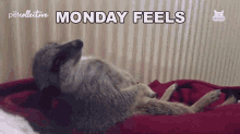 Monday Feels Monday GIF - Monday Feels Monday Feeling GIFs