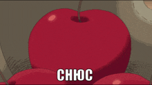 a cartoon drawing of a cherry with the word chhoc written on it