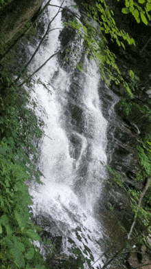 a waterfall is surrounded by trees and greenery