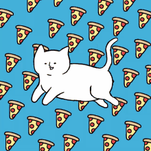 Pizza Cat GIF