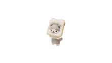 Cat Breadcat GIF