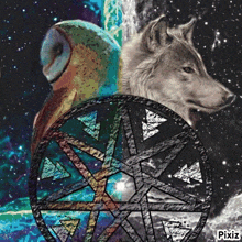 an owl and a wolf are sitting in front of a pentagram ..