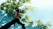 Bird Under The Rain GIF - Bird Under The Rain Rainy Weather GIFs