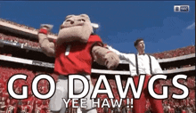 a mascot says go dawgs yee haw in front of a stadium full of people