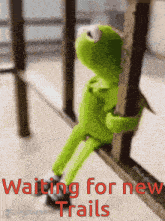 kermit the frog sitting on a railing with the words waiting for new trails