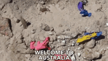 Welcome To Australia Spider GIF