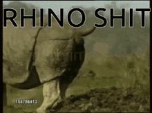 Rhino Shit GIF - Rhino Shit GIFs