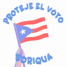 proteje el voto boriqua puerto rican puerto rican vote puerto rican voter vota
