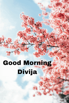Good Morning Divija GIF - Good Morning Divija GIFs
