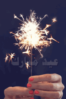 Eid Fater Mubarak GIF - Eid Fater Mubarak Fire Works GIFs
