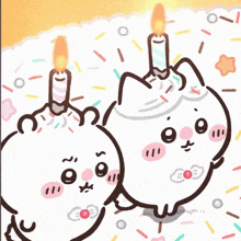 two cartoon cats with candles on their heads