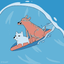 Dog Surfing GIF - Dog Surfing Surf GIFs