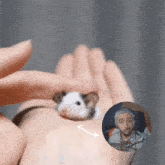 a man wearing headphones is holding a small hamster