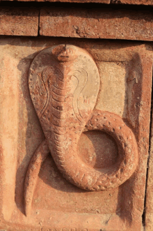 a stone carving of a snake with the letter b on the bottom