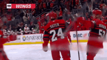 Detroit Red Wings Pius Suter GIF