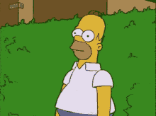 Homer Simpson Hiding GIF
