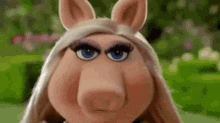 Miss Piggie Angry500kb Gif GIF