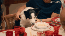 Eating The Pack GIF